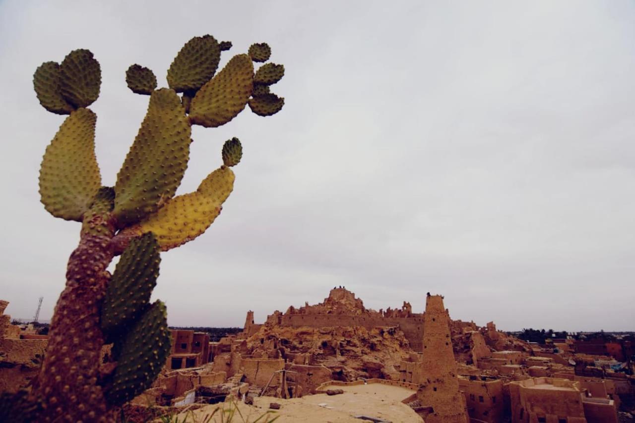 Appartamento Nainshal Siwa Siwa Oasis Esterno foto